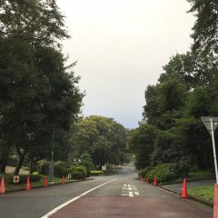 平成30年9月　お彼岸3日目