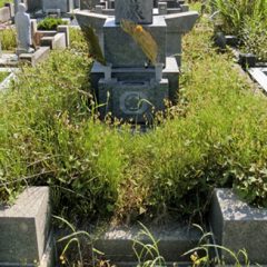 お墓の雑草対策はどうすればいい？
